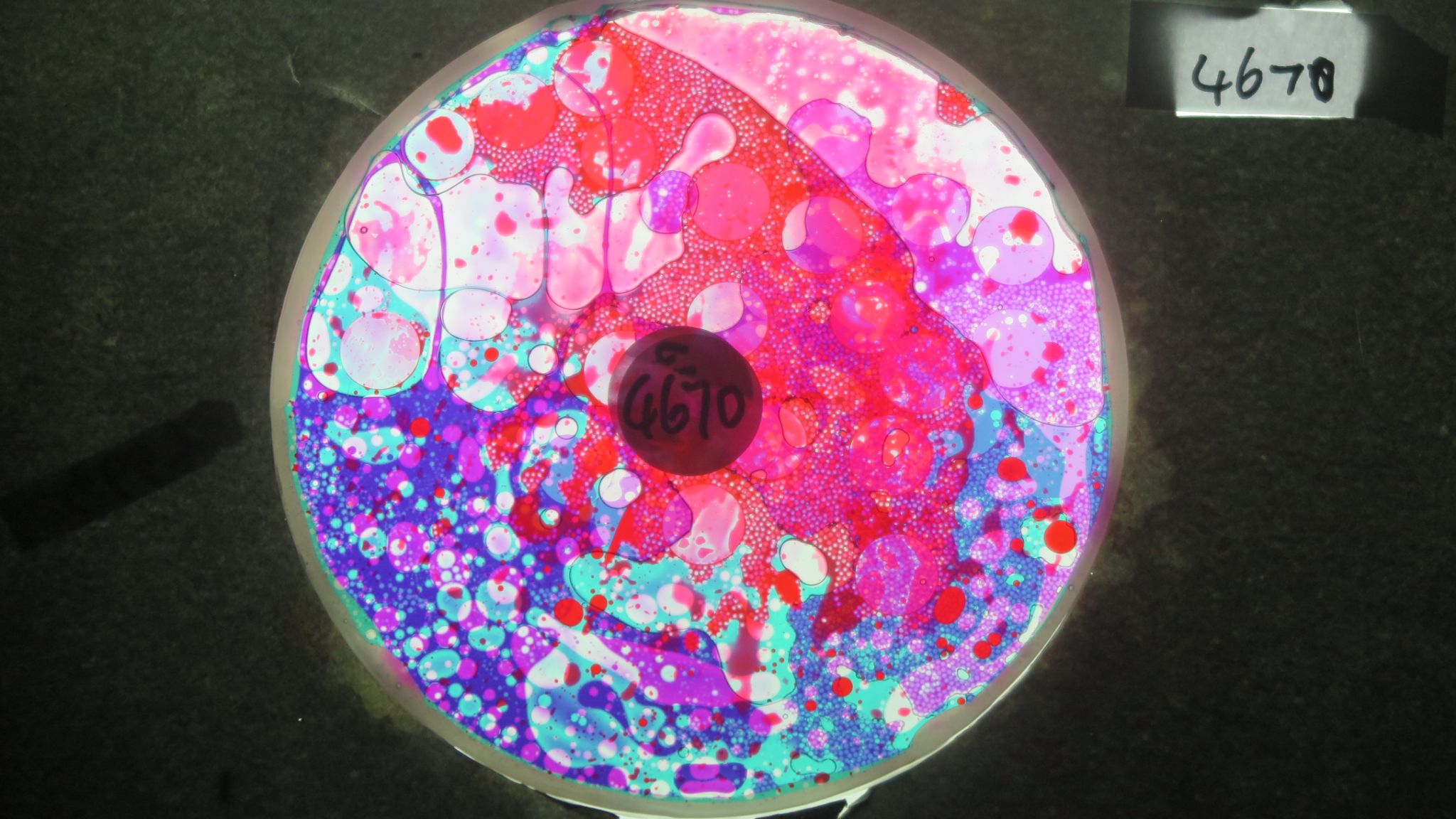 BV4670 bubble vision oil wheel